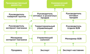 Карьерный рост в компании: как добиться успеха в профессии?