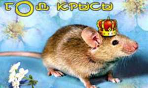 Что подарить на Новый год 2022: идеи для подарков родным и близким