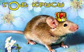 Что подарить на Новый год 2022: идеи для подарков родным и близким