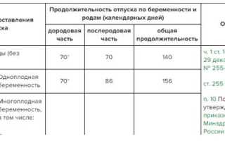 Когда положен отпуск при беременности?