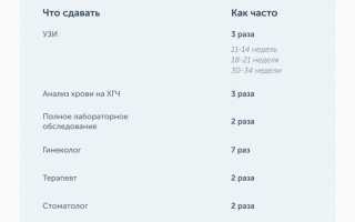 Сроки проведения планового узи при беременности