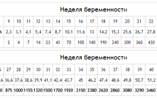 Все о развитии плода при беременности: размер, вес, расположение