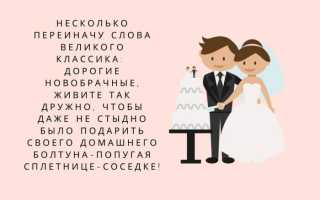 Лучшие тосты на свадьбу
