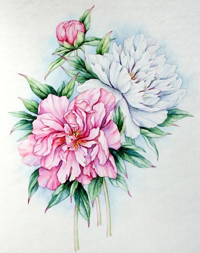 Фото 2
